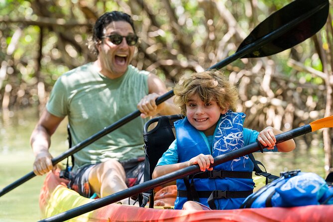 Sarasota Mangrove Tunnel Guided Kayak Adventure - Into the Lido Key Mangrove Tunnels: Clear Water and Overhead Green