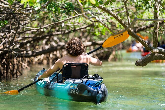 Sarasota Mangrove Tunnel Guided Kayak Adventure - The Guide Factor: How Humor and Teaching Change the Trip