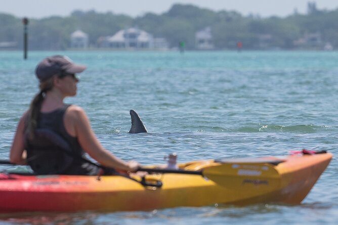 Sarasota Mangrove Tunnel Guided Kayak Adventure - Duration, Group Size, and Why the Pace Feels Right