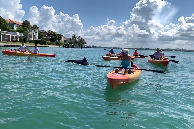 Sarasota Mangrove Tunnel Guided Kayak Adventure - Weather, Wind, and Other Real-World Considerations