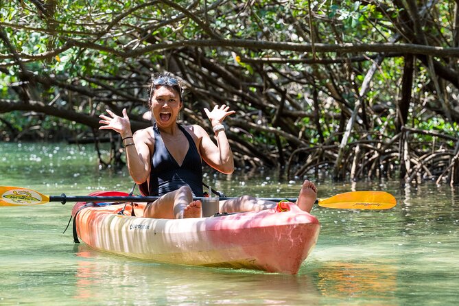 Sarasota Mangrove Tunnel Guided Kayak Adventure - Sarasota Bay Open-Water Stretch: Where Wildlife Chances Happen