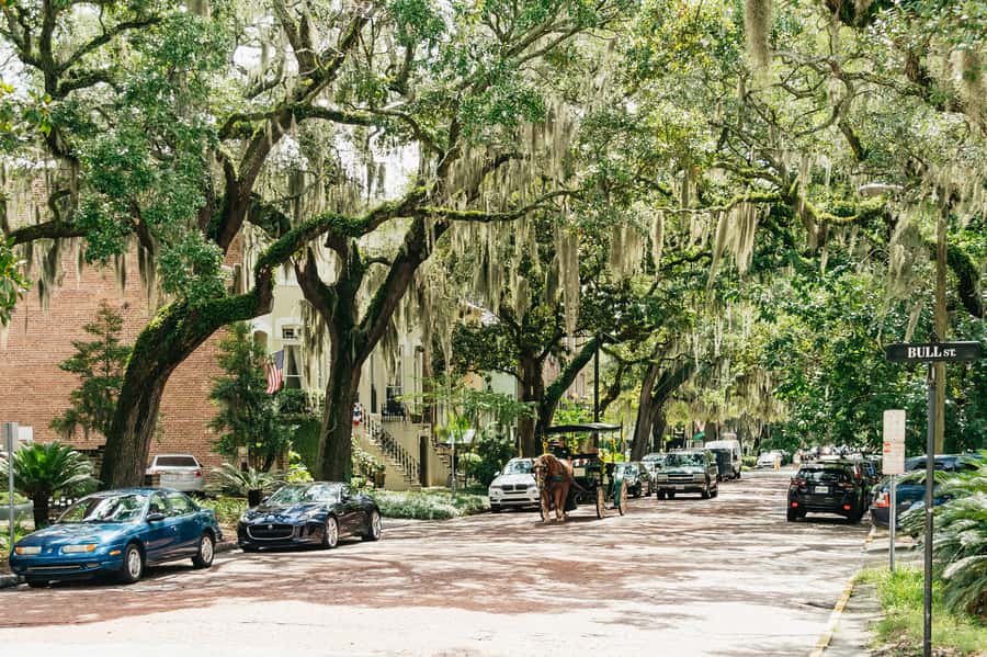 Savannah: Old Savannah Tours Historic Overview - Price check: is $35 worth 75 minutes of guided Savannah?