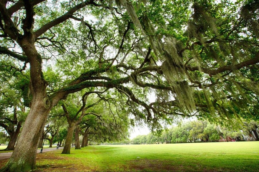 Savannah: Riverboat Cruise & City Tour Combo - Price and Value, What $79 Buys You in Real Time