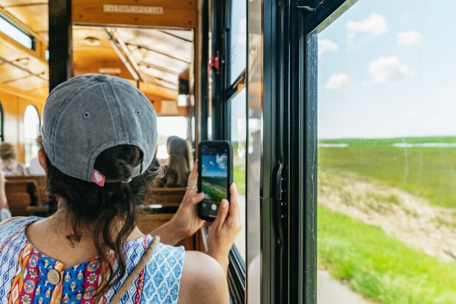 Savannah: Tybee Island Dolphin Tour - Price and value: what $74 gives you for a Savannah to Tybee day