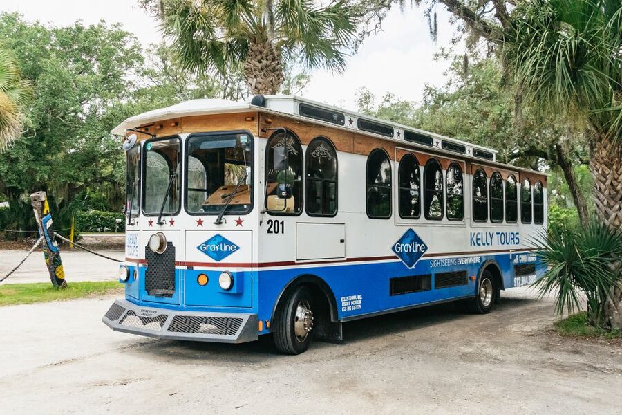 Savannah: Tybee Island Dolphin Tour - Should you book the Savannah Tybee Island Dolphin Tour?