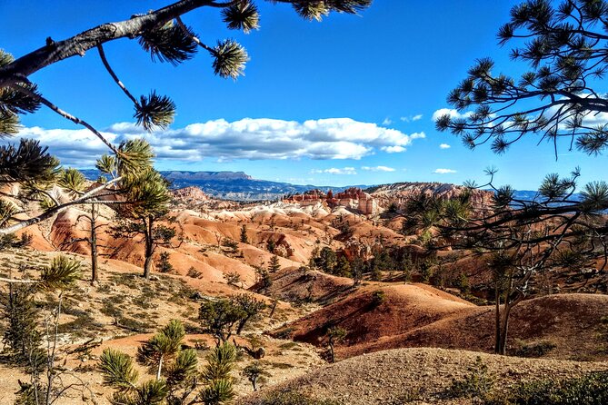 Scenic Tour of Bryce Canyon - Key highlights to know before you go
