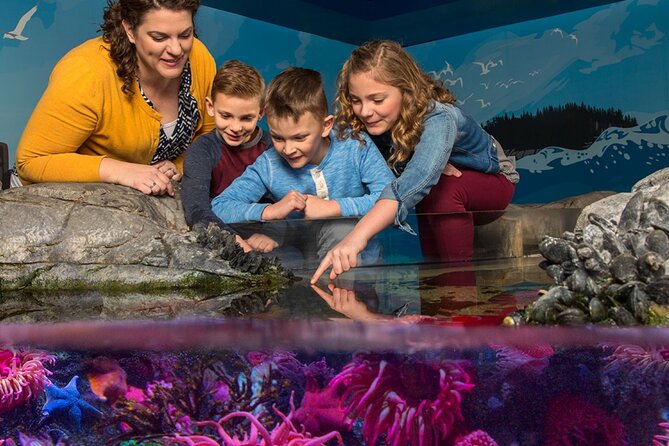 SEA LIFE Orlando Aquarium Admission Ticket at ICON Park - SEA LIFE Orlando Aquarium: 30+ Displays, 5,000 Creatures, and Real Wow Moments
