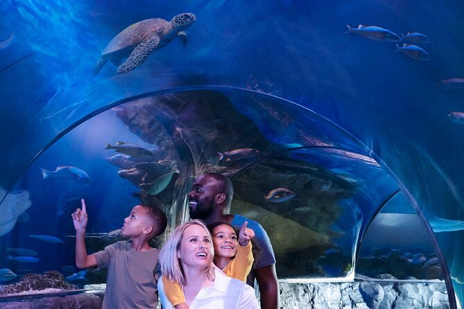 SEA LIFE Orlando Aquarium Admission Ticket at ICON Park - Price and Value at About $31.94 Per Person