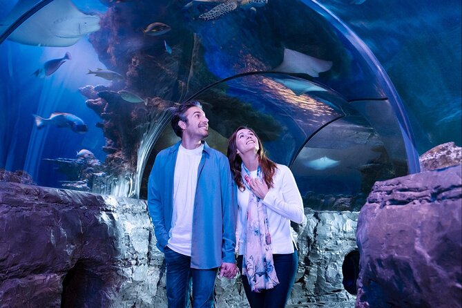 SEA LIFE Orlando Aquarium Admission Ticket at ICON Park - Who Should Book SEA LIFE Orlando (and Who Might Want More)