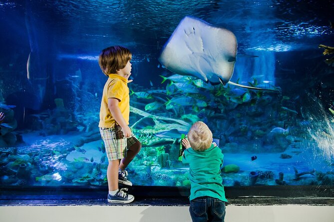 SEA LIFE Orlando Aquarium Admission Ticket at ICON Park - The Themed Florida Route: Lake Apopka to the Gulf of Mexico