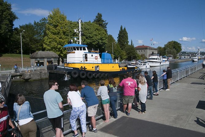 Seattle City and Snoqualmie Falls Half-Day Guided Tour - Pioneer Square stories, plus the fire and Seattle Underground