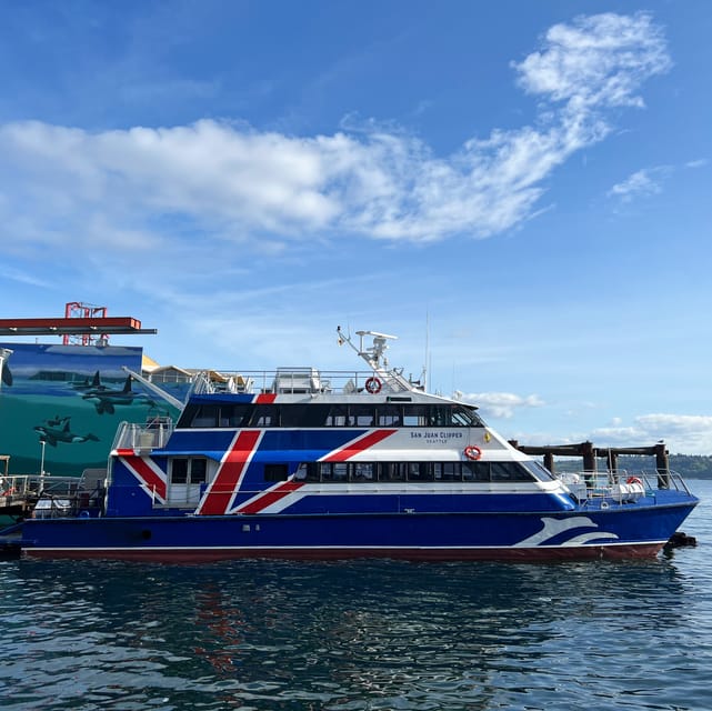 Seattle: Half-Day Wildlife and Whale Watching Cruise - Boat comfort and real-world logistics: seats, hearing, binoculars, and bathrooms