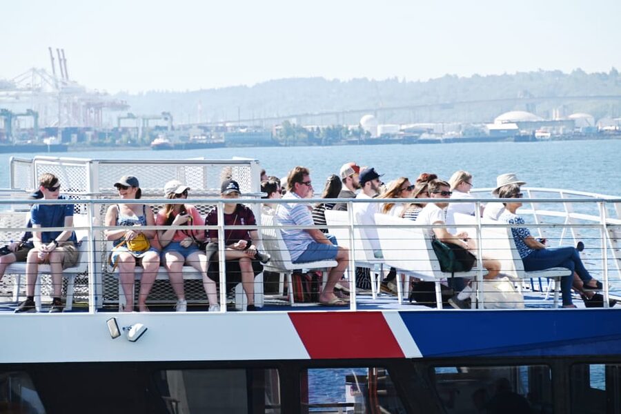 Seattle: Half-Day Wildlife and Whale Watching Cruise - Who this cruise fits best, and who should think twice