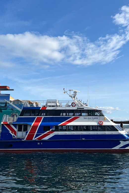 Seattle: Half-Day Wildlife and Whale Watching Cruise - What you might spot: whales, seals, birds, and the real mix