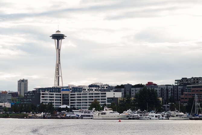 Seattle Locks Cruise - The Ballard Locks Moment: Freshwater Down, Saltwater In