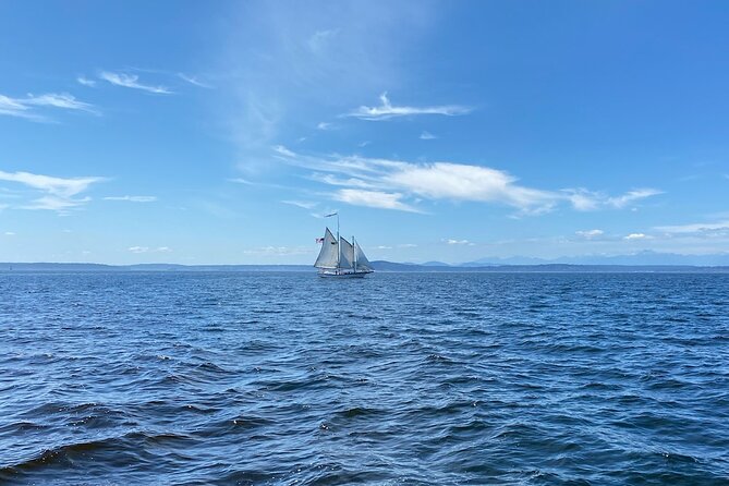 Seattle Sailing Harbor Tour - Pier 66 to the ship: what your arrival actually needs