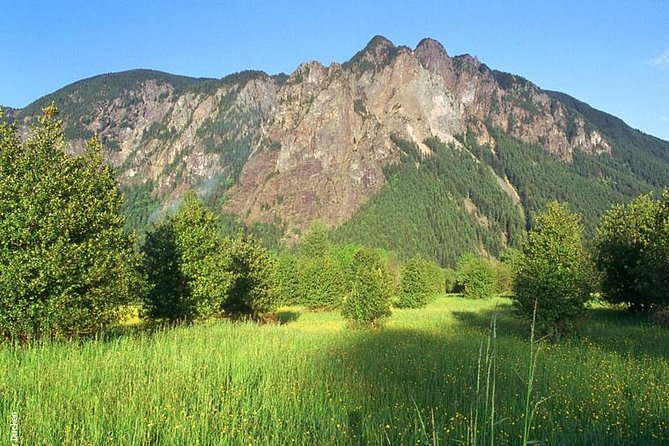 Seattle Wine & Snoqualmie Falls Highlights Tour - The Hollywood-style drive-by moments: Twin Peaks and Northern Exposure vibes