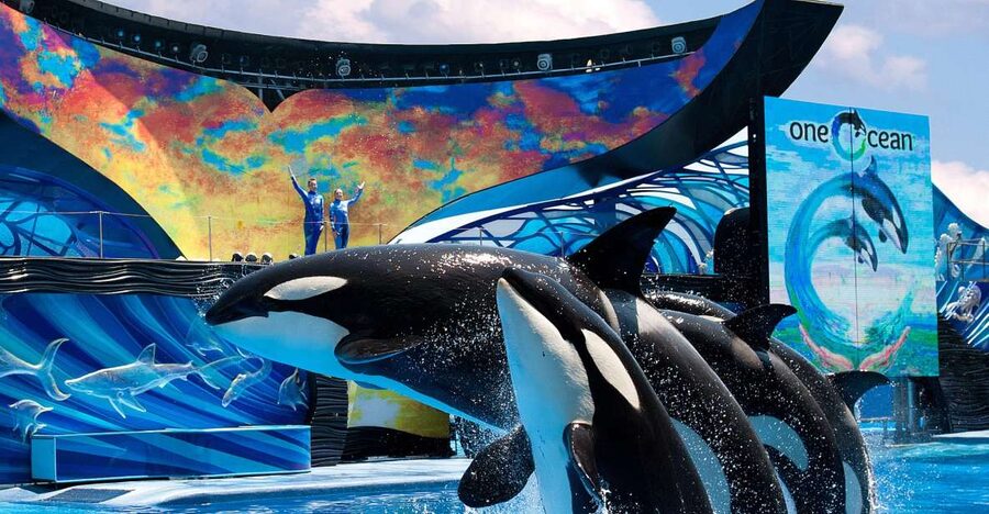 SeaWorld Orlando: Park Admission Ticket - SeaWorld Orlando is more than a sea-life pit stop