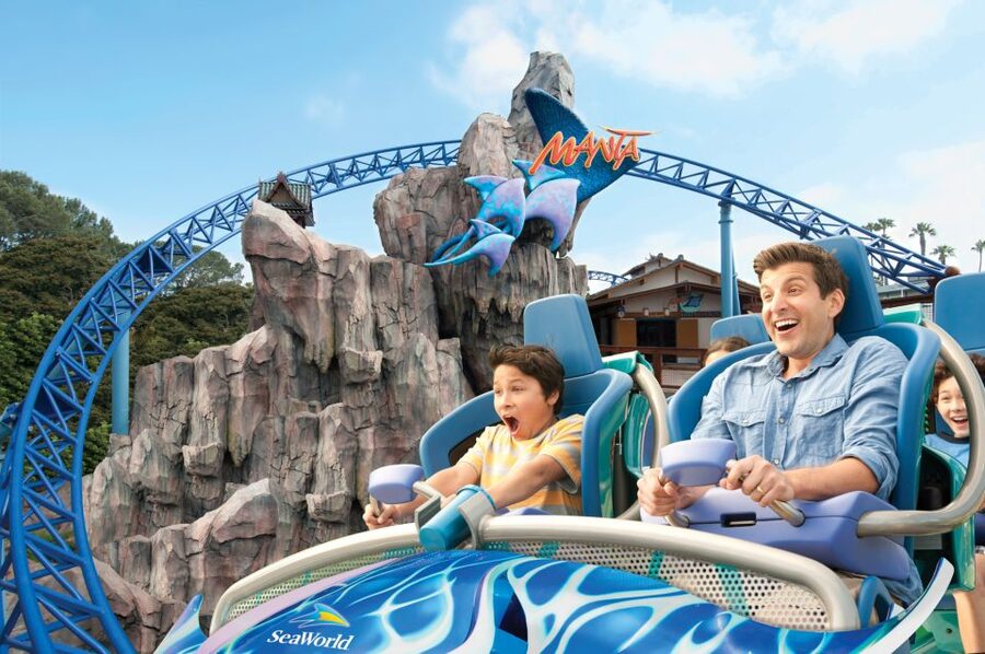 SeaWorld Orlando: Park Admission Ticket - Orca Encounter plus face-to-face marine mammal experiences