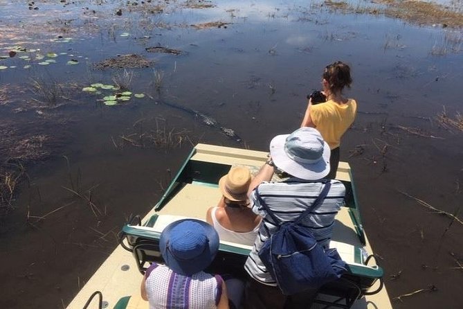Semi-Private 1-Hour Airboat Tour of Miami Everglades - What’s Included, What’s Not, and How to Prepare