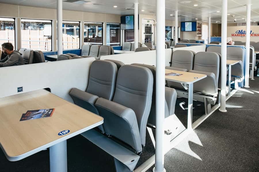 Seward: Kenai Fjords National Park Catamaran Cruise w/Lunch - Should you book this Seward Kenai Fjords catamaran cruise?