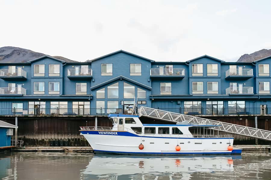 Seward: Kenai Fjords National Park Catamaran Cruise w/Lunch - Booking value: why $265 can make sense for this exact day