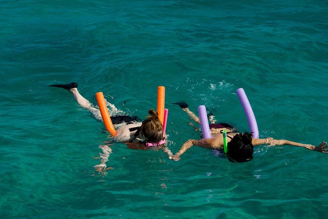 Shallow Water Snorkeling and Dolphin Watching in Key West - Why This Dolphin and Snorkel Tour Works in Key West