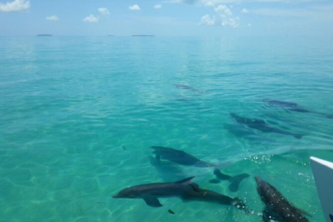 Shallow Water Snorkeling and Dolphin Watching in Key West - What’s Included for Food and Drinks on the Water