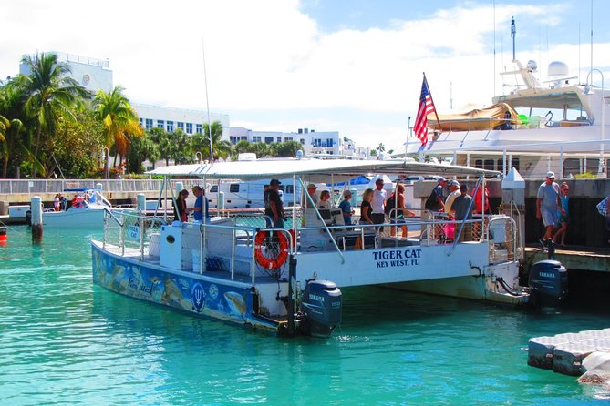 Shark and Wildlife Viewing Adventure in Key West - Stops, or how the route builds a full wildlife story
