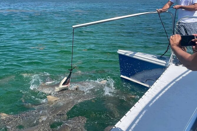 Shark and Wildlife Viewing Adventure in Key West - Comfort details that matter on a two-hour ride