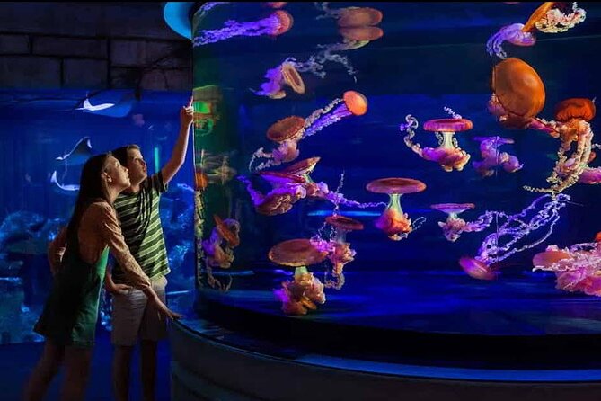 Shark Reef at Mandalay Bay Hotel and Casino - Shark Reef at Mandalay Bay: how this aquarium fits Vegas timing