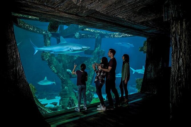 Shark Reef at Mandalay Bay Hotel and Casino - Touchpool in the 2,500-gallon interactive exhibit