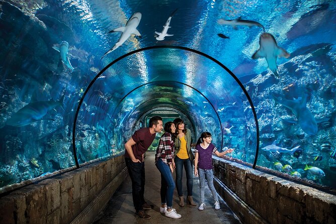 Shark Reef at Mandalay Bay Hotel and Casino - More than sharks: 14 exhibits of aquatic predators and reptiles