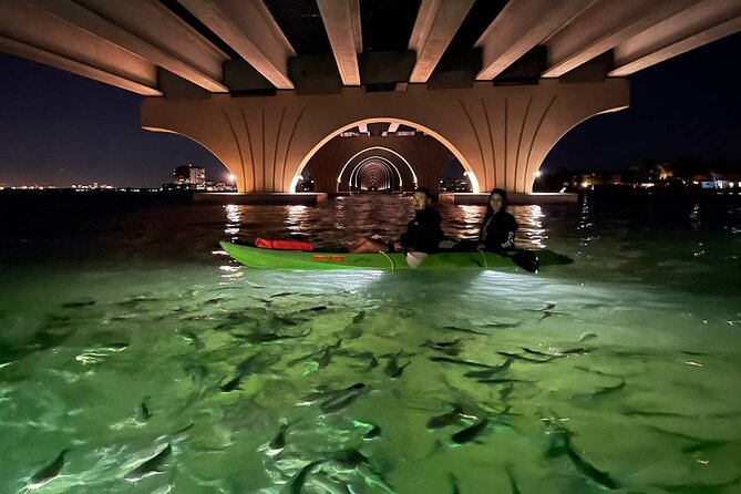 Sharkeys Glass Bottom Fish Feeding LED Night Tour St. Pete Beach - Meet at Gulf Blvd and Maritana Dr, Then Suit Up for Real Safety