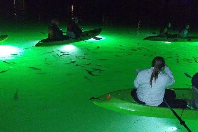 Sharkeys Glass Bottom Fish Feeding LED Night Tour St. Pete Beach - How Tough Is the Paddling? It’s Fair, But Do Not Treat It Like a Lazy Float
