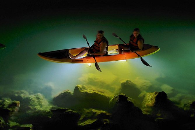 Sharkeys Glass Bottom Fish Feeding LED Night Tour St. Pete Beach - Group Size and Vibe: Small Enough to Feel Personal, Big Enough for Fun