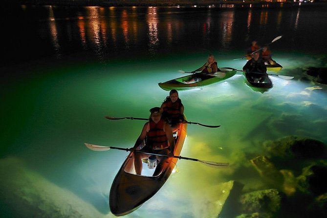 Sharkeys Glass Bottom Fish Feeding LED Night Tour St. Pete Beach - Stop 1 at Spa Oceana (The Don CeSar Area): Mangroves and Birds After Dark