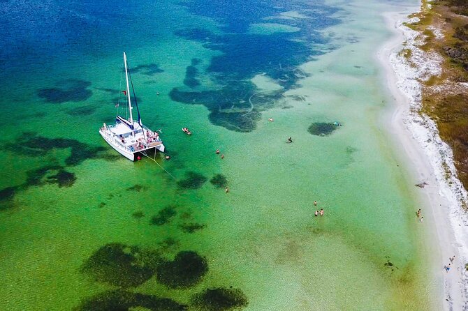 Shell Island Snorkel and Dolphin Catamaran Cruise with Island Time - Key Highlights Worth Your Time