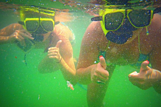 Shell Island Snorkel and Dolphin Catamaran Cruise with Island Time - Snorkeling at St. Andrews Bay: More Fish, Less Pressure