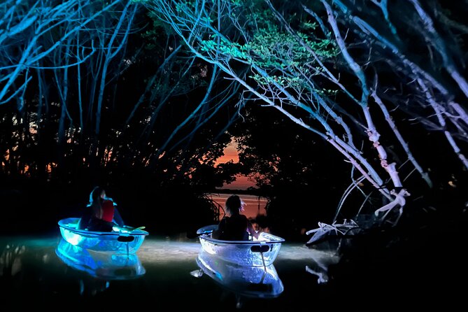 Shell Key Clear Kayak Sunset & Glow Tours - Shell Key Preserve After Dark: What the Glow Setup Means for You