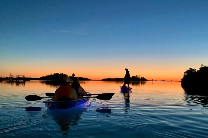 Shell Key Clear Kayak Sunset & Glow Tours - Seeing Wildlife in a Clear Kayak: How the LEDs Change Your Odds