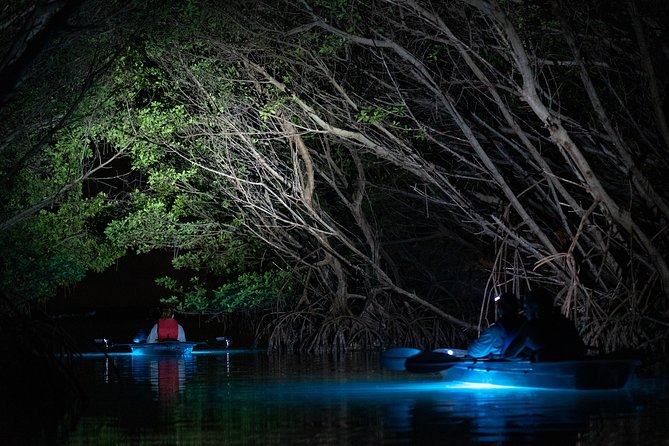 Shell Key Clear Kayak Sunset & Glow Tours - Your Body and Ability: The Practical Limits to Know Before Booking
