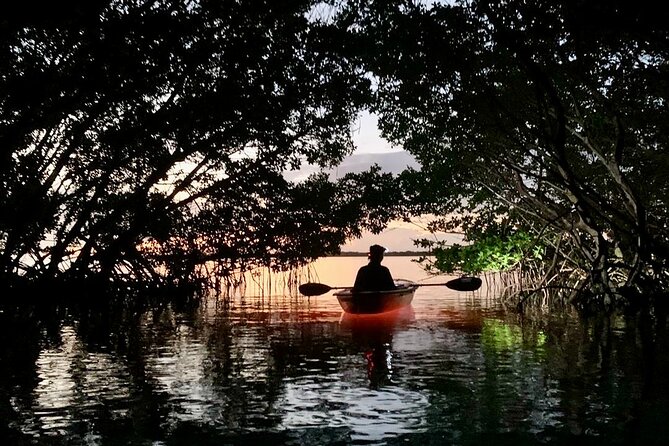 Shell Key Clear Kayak Sunset & Glow Tours - The 1.5-Hour Paddle Flow: From Instructions to Mangrove Lights