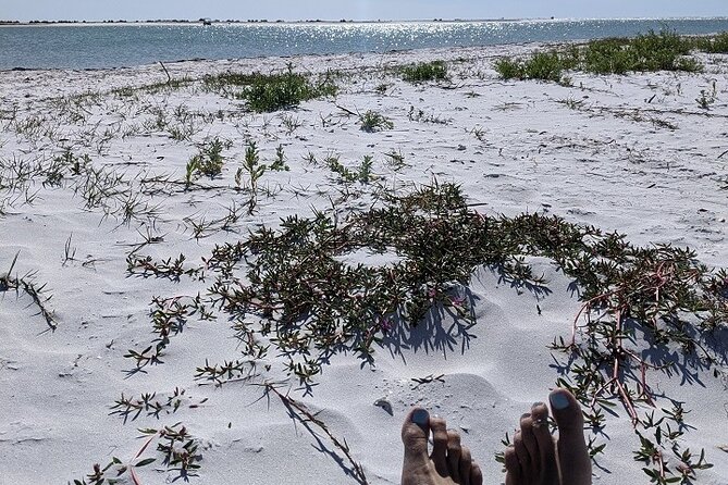 Shell Key Ferry from Ft. DeSoto Boat Ramp in Tierra Verde, FL - Packing list that matches Shell Key reality (sun first)