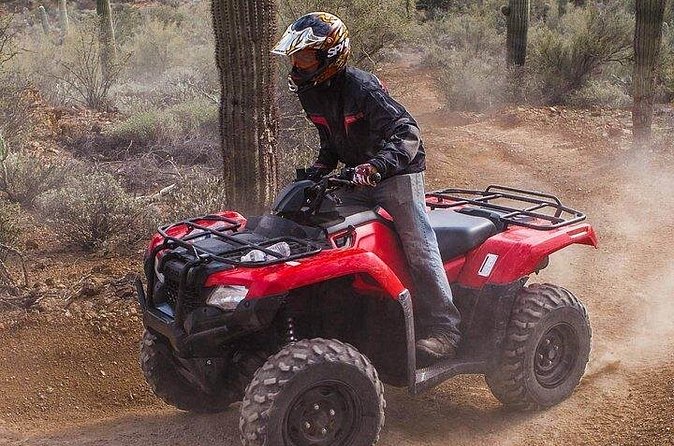 Sidewinder ATV Training & Centipede Tour Combo - Guided ATV Training & Tour - What riding feels like: pacing, stops, and the climb moments