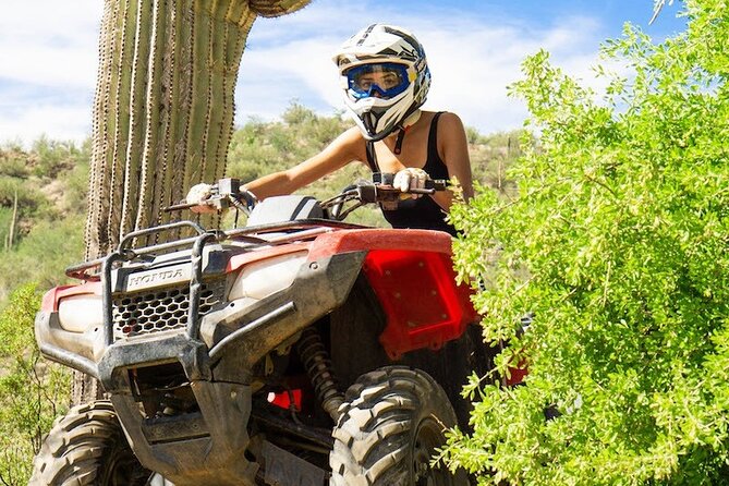 Sidewinder ATV Training & Centipede Tour Combo - Guided ATV Training & Tour - Price and value: $179.65 for instruction plus a guided desert ride