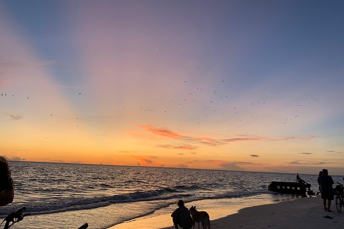 Siesta Key Electric Bike Sunset Tour - Price and value: what $71.43 buys you on this kind of tour