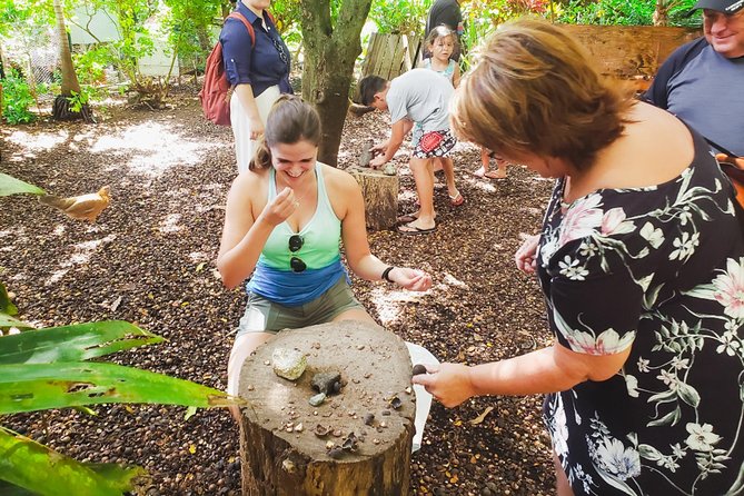 Sights & Bites Ultimate Oahu Circle Island Foodie Tour - The food part you should plan around: Macadamia samples and Aloha Shrimp lunch