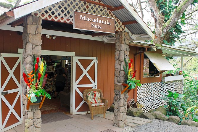 Sights & Bites Ultimate Oahu Circle Island Foodie Tour - Turtle possibility at Pua‘ena Point, then Dole Plantation