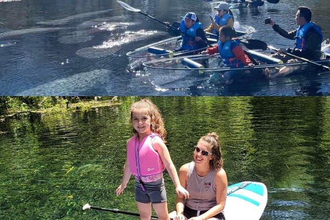 Silver Springs Clear Kayak Manatee, Monkey & Wildlife Adventures - Silver Springs in a Clear Kayak: What This Tour Really Delivers